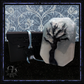 Winter - Scent Collection