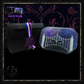 The Night Watch - Scent Collection